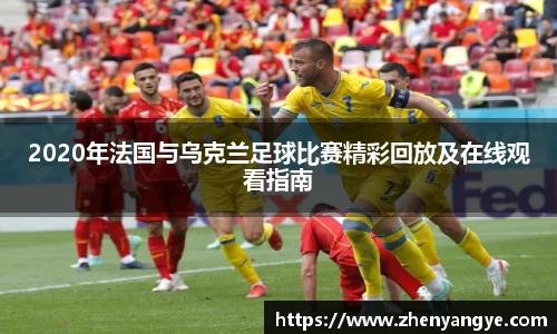 九游体育