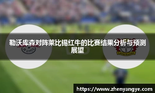 九游体育APP