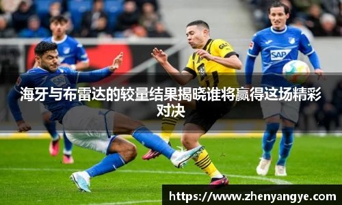 海牙与布雷达的较量结果揭晓谁将赢得这场精彩对决